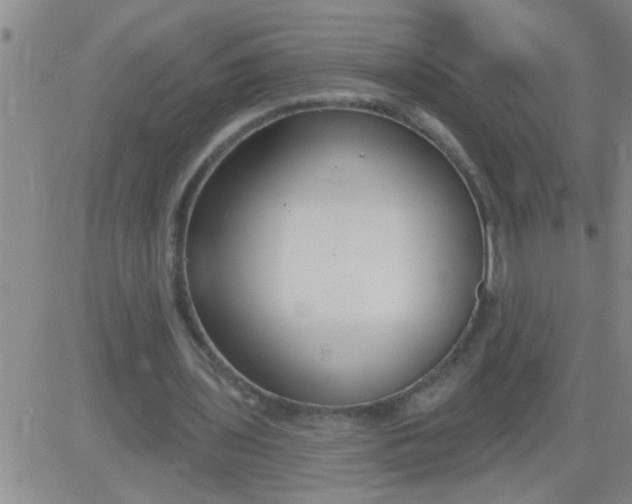 X0000083990435200703021943