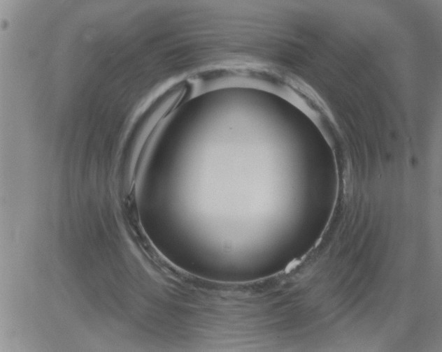 X0000083990436200703021943