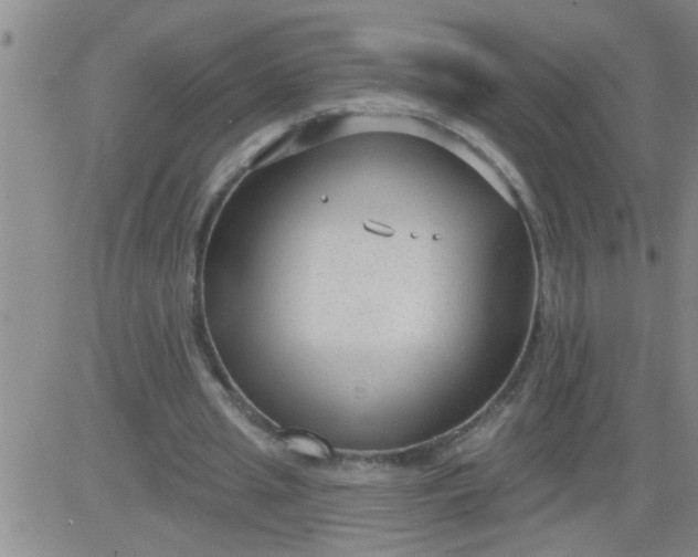 X0000083990437200703021943