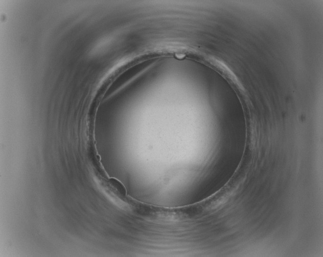 X0000083990439200703021943