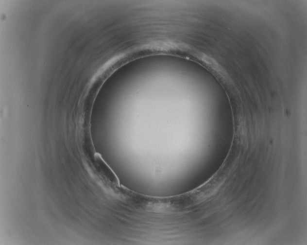 X0000083990440200703021943