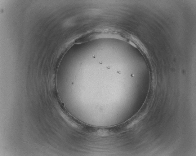 X0000083990441200703021943