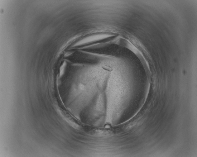 X0000083990442200703021943