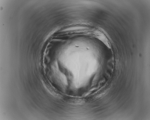 X0000083990443200703021943