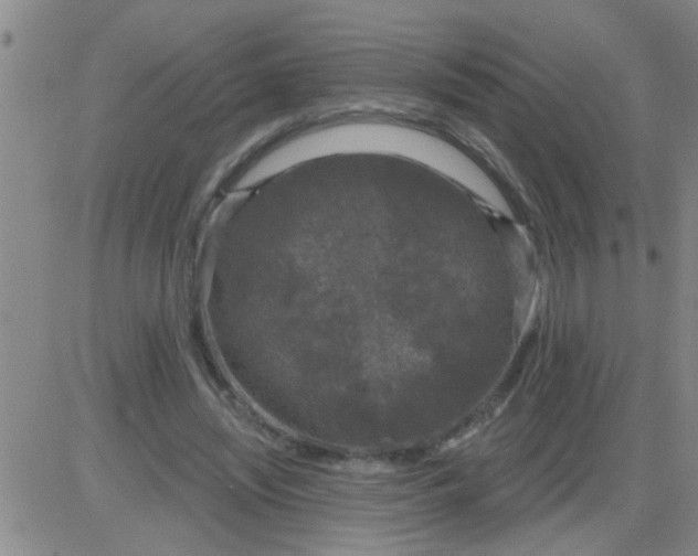 X0000083990444200703021943