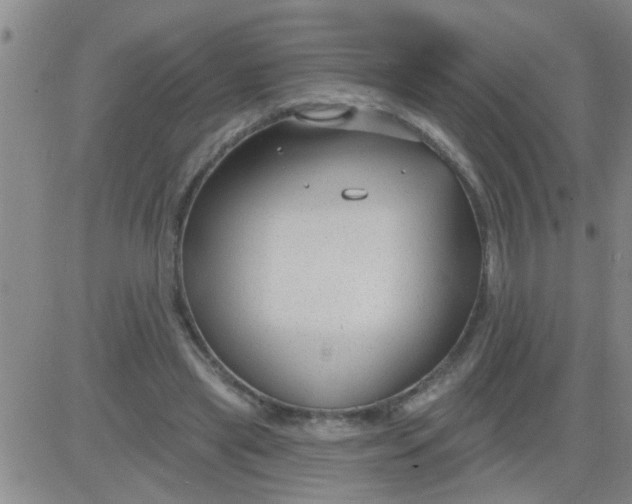 X0000083990445200703021944