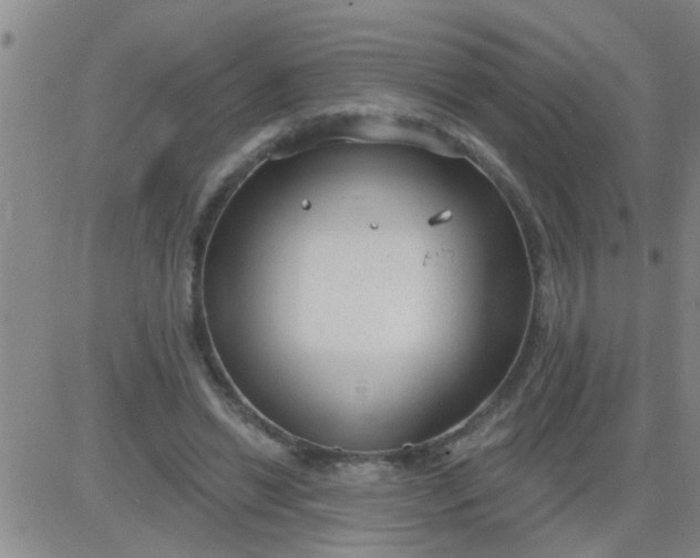 X0000083990446200703021944