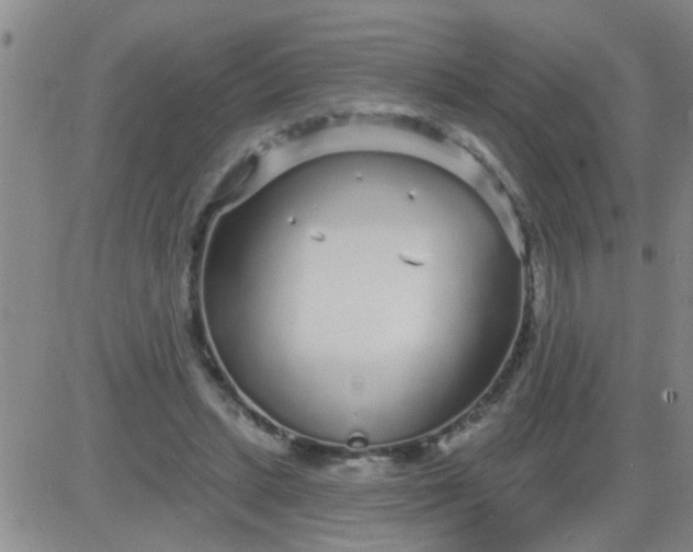 X0000083990447200703021944