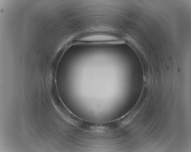 X0000083990448200703021944