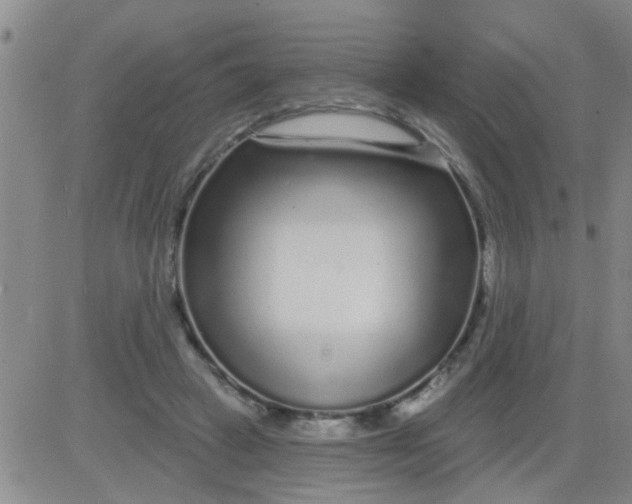 X0000083990449200703021944