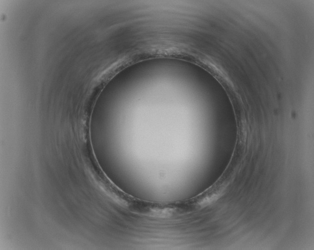 X0000083990450200703021944