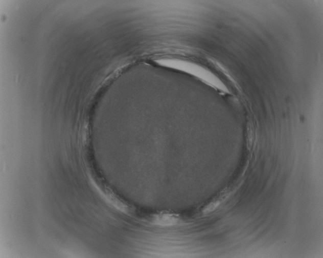 X0000083990451200703021944