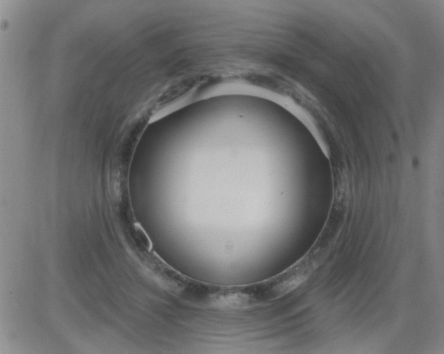 X0000083990452200703021944