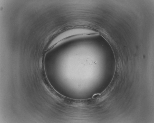 X0000083990454200703021944