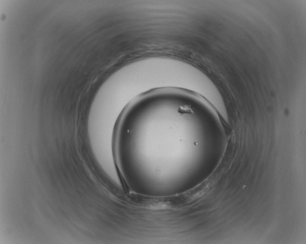 X0000083990456200703021944