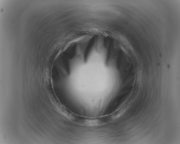 X0000083990457200703021944