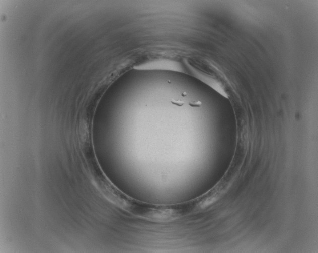 X0000083990459200703021944