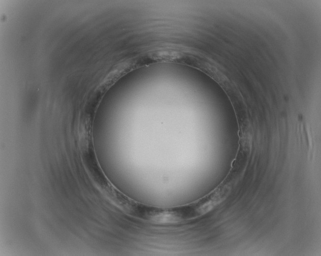 X0000083990460200703021944