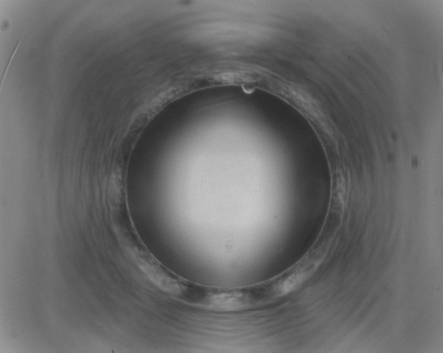 X0000083990461200703021944