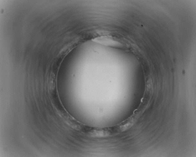 X0000083990464200703021944