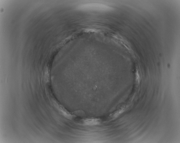 X0000083990465200703021944