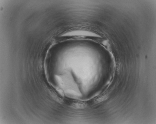 X0000083990466200703021944