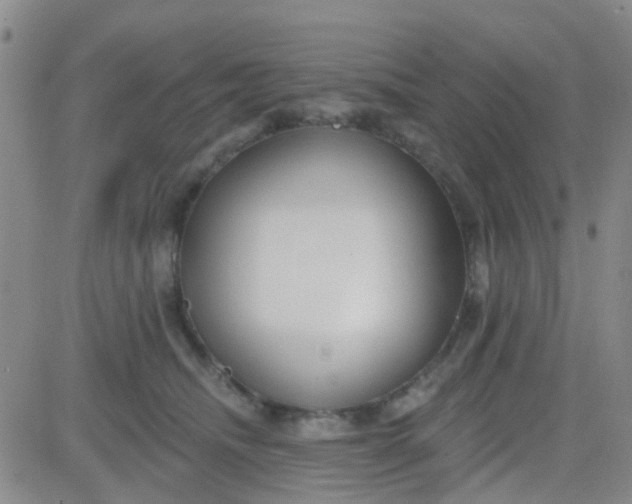 X0000083990468200703021944