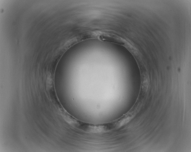 X0000083990469200703021944