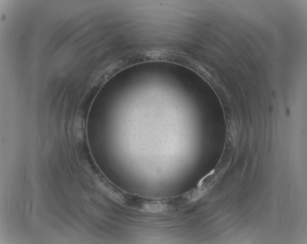 X0000083990470200703021944