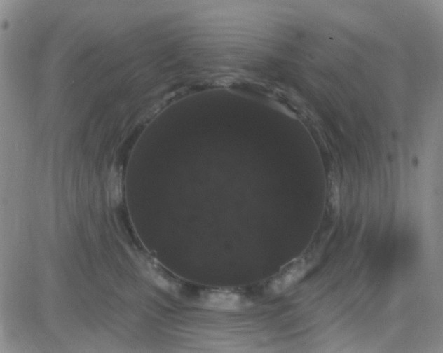 X0000083990471200703021944