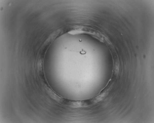 X0000083990473200703021944