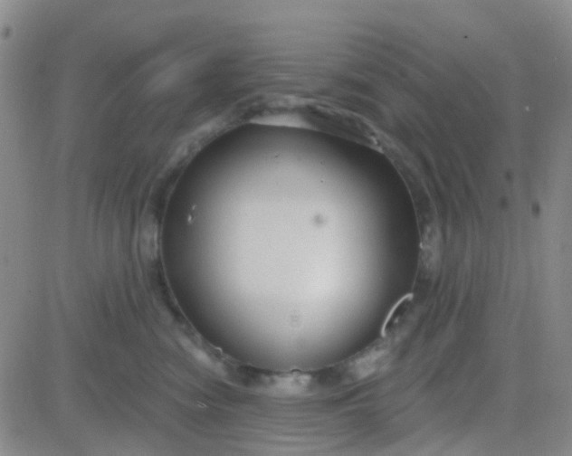 X0000083990474200703021944