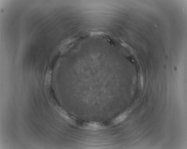 X0000083990475200703021944