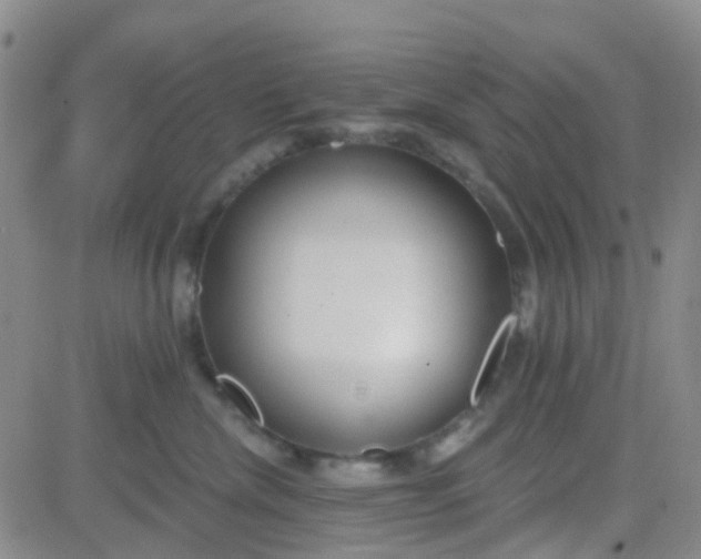 X0000083990476200703021944