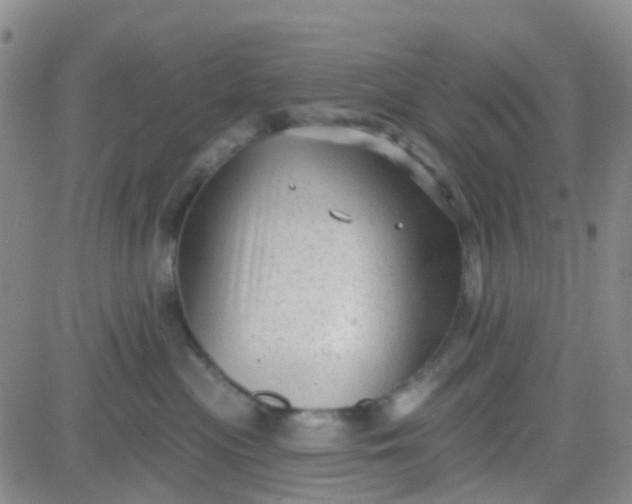 X0000083990477200703021944