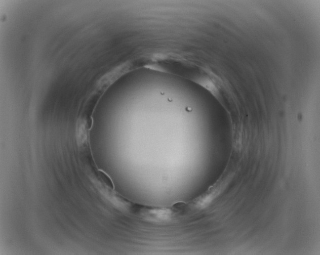 X0000083990478200703021944