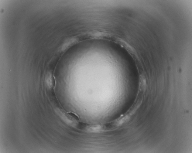 X0000083990479200703021944