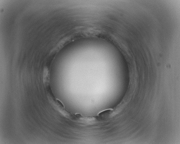 X0000083990480200703021944