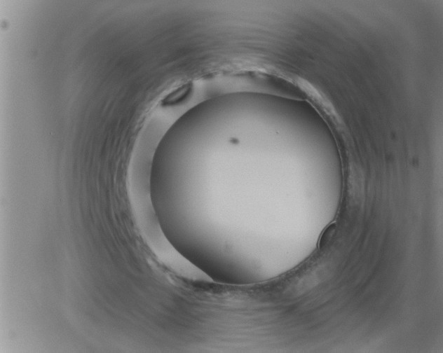 X0000083990481200703021943