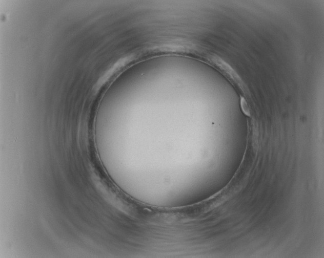 X0000083990482200703021943