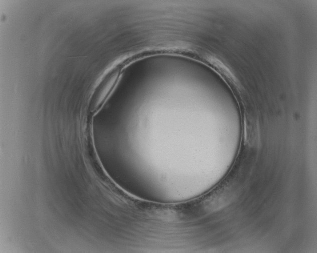 X0000083990483200703021943