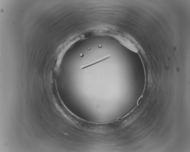 X0000083990485200703021943