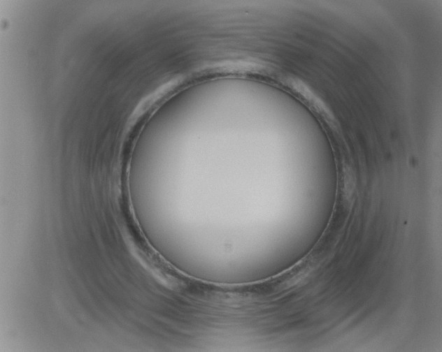 X0000083990486200703021943