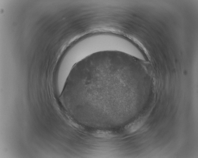 X0000083990487200703021943