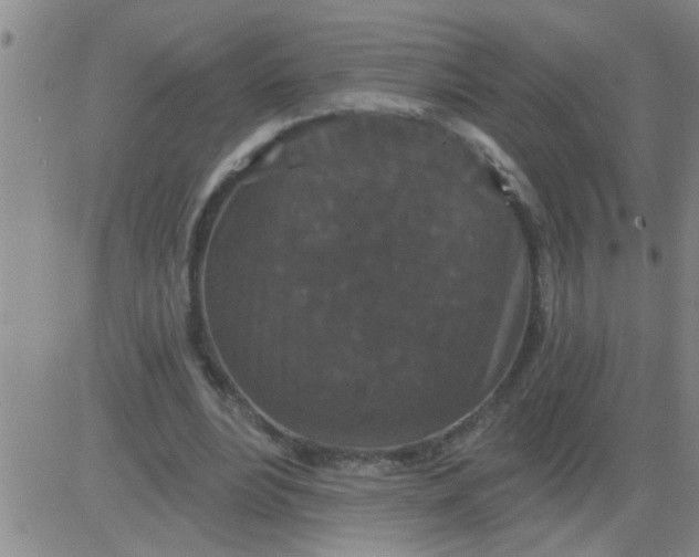 X0000083990488200703021943