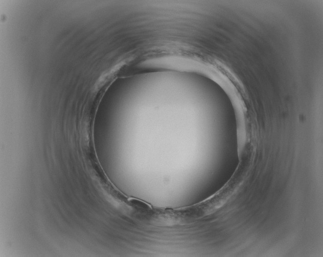 X0000083990489200703021943