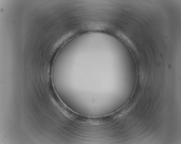 X0000083990490200703021943