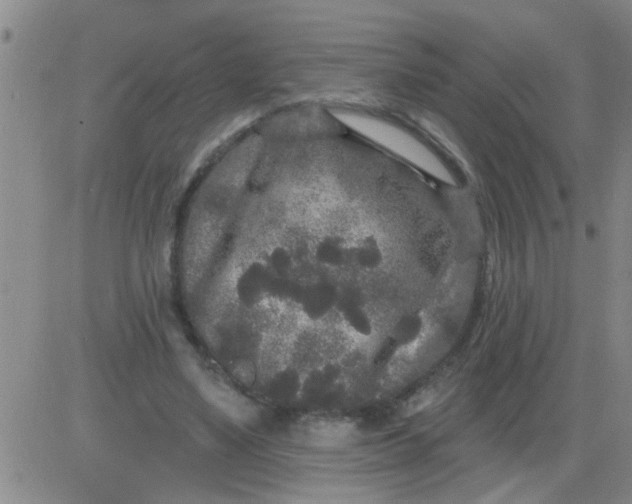 X0000083990491200703021943