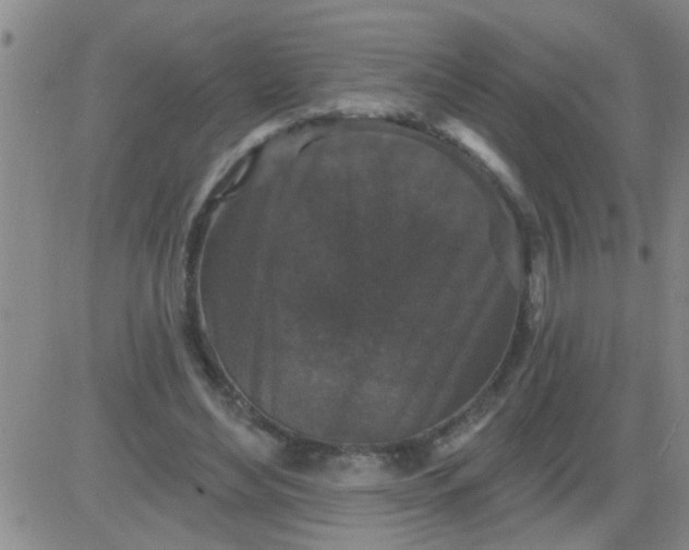 X0000083990492200703021943