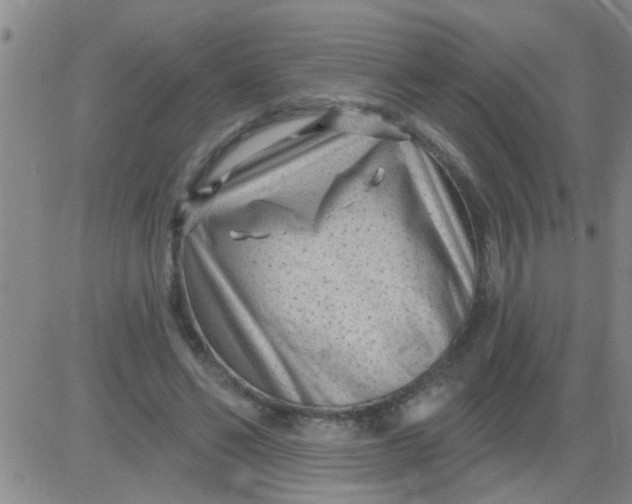 X0000083990494200703021943